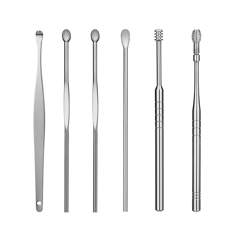 Stainless Steel Ear Pick Set with Keychain Case