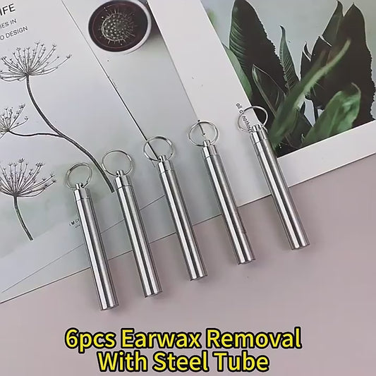 Stainless Steel Ear Pick Set with Keychain Case